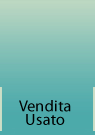 vendita usato